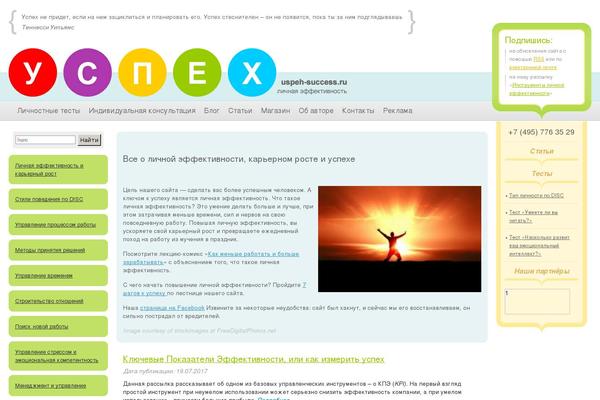 us theme websites examples