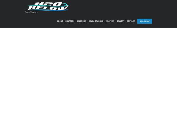 Diveit theme site design template sample