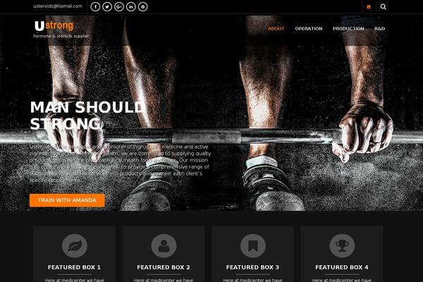 Skt-befit-pro theme site design template sample