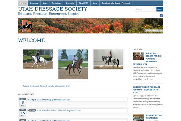 Academica theme site design template sample