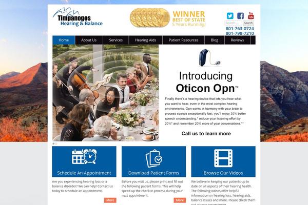 Audigy4 theme site design template sample