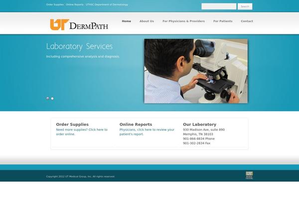 Accent theme site design template sample