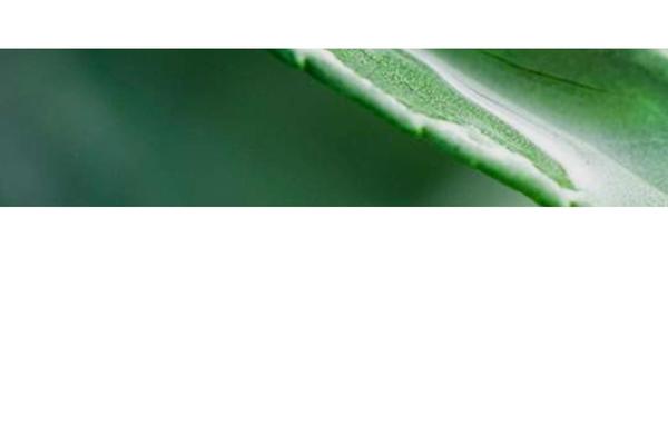 Site using Pixo-simple-seo plugin