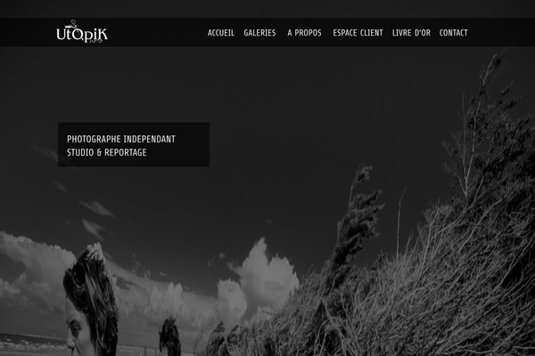 Meshable theme site design template sample