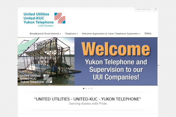 Chameleon theme site design template sample