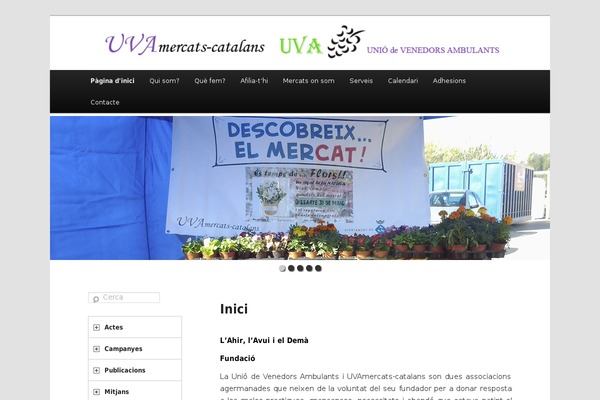 Site using Flexpaper plugin