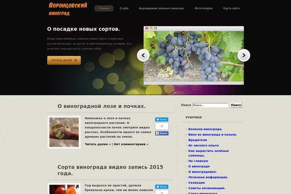 Copperific theme site design template sample