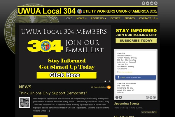 Site using Jamie Social Icons plugin