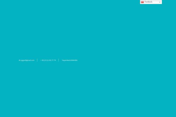 Codesk theme site design template sample