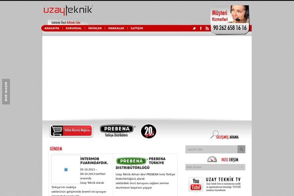 Choices theme site design template sample