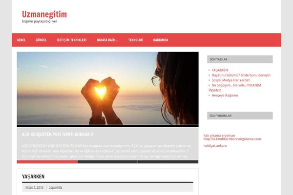 Dynamic News Lite theme site design template sample