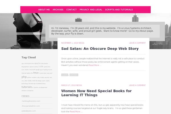 Chicago theme site design template sample