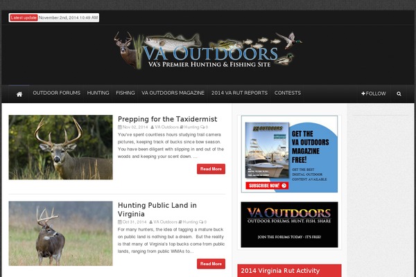 Theme Rush theme site design template sample