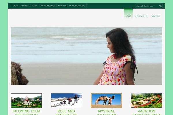 D5 CORPORATE LITE theme site design template sample