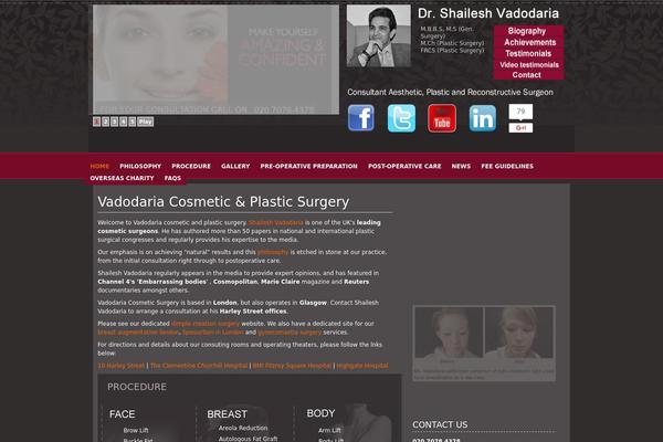 WP Remix theme site design template sample