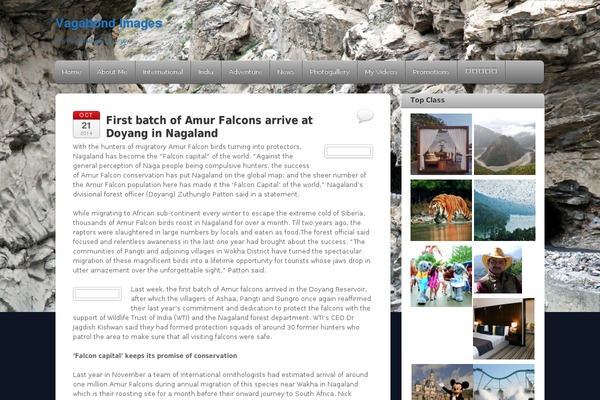 Site using Wpop-elementor-addons plugin