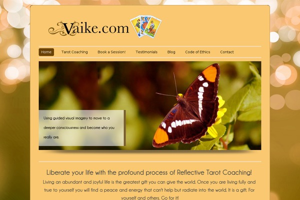 vaike.com site used Colorway Theme