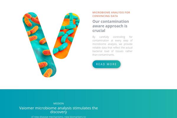Divi theme site design template sample
