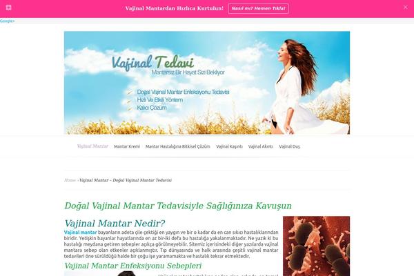 Evolution theme site design template sample