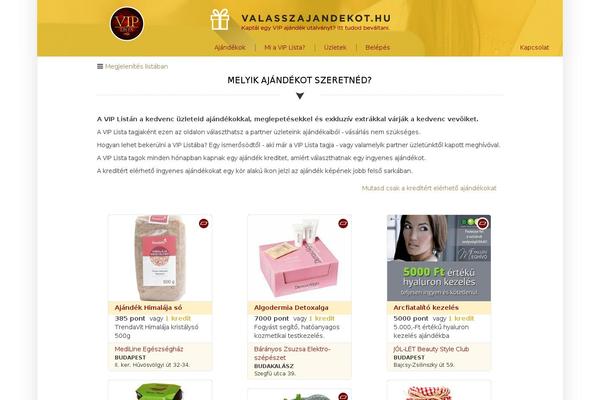 Amadeus theme site design template sample