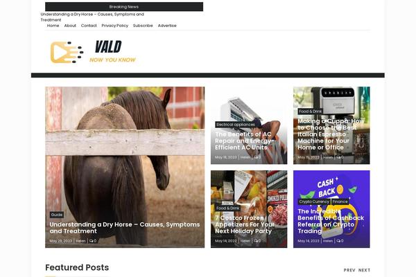 vald.tv site used Timagazine