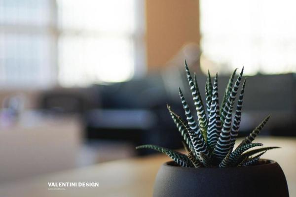 Twenty Seventeen theme site design template sample