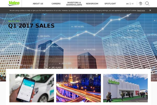 Site using Searchwp plugin