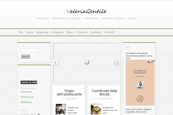 Magnificent theme site design template sample