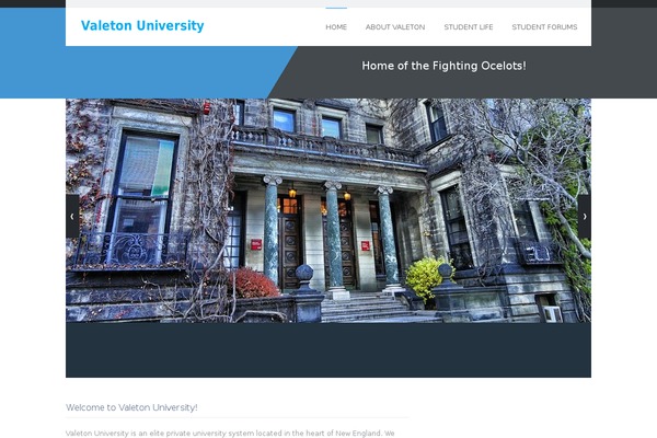 My College theme site design template sample