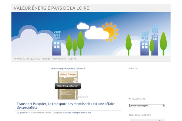 picolight theme site design template sample