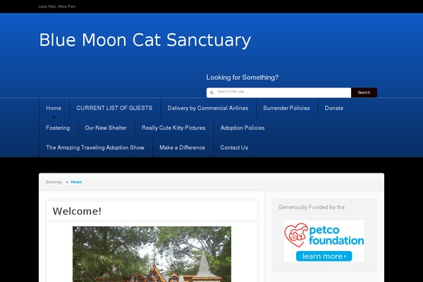 Nuntius theme site design template sample