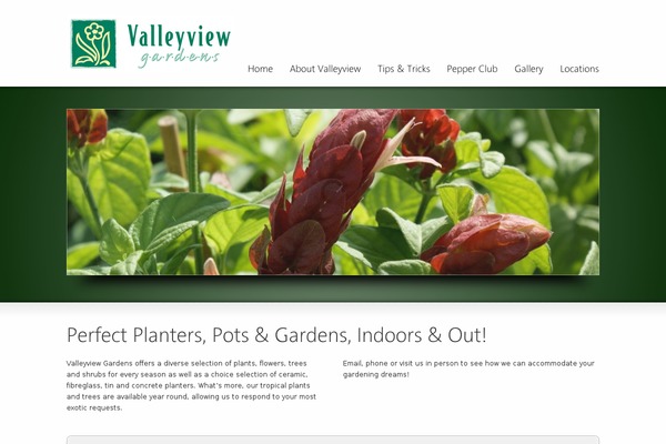 Striking theme site design template sample