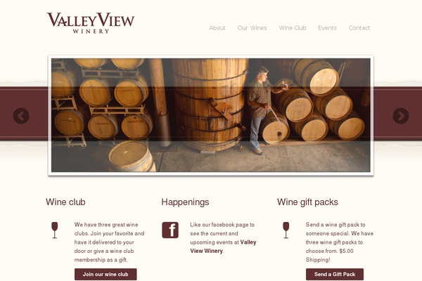 Appply theme site design template sample