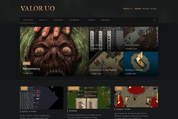 Valor theme site design template sample