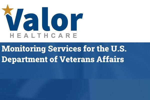 Valor theme site design template sample