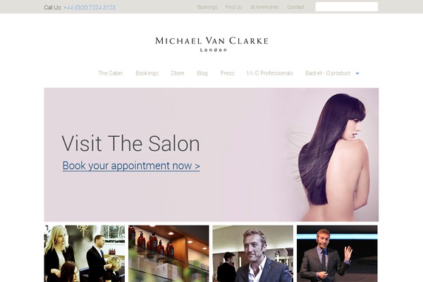 mvc theme websites examples