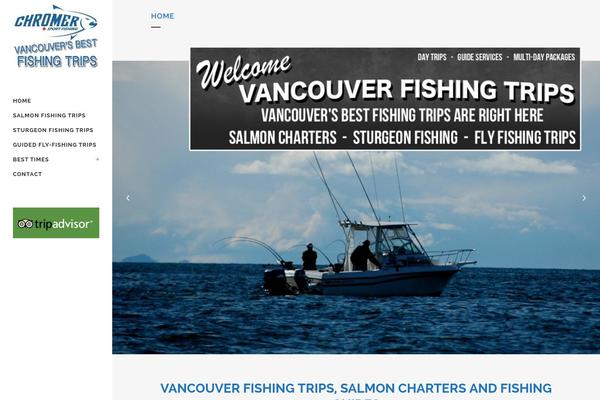 Bridge theme site design template sample