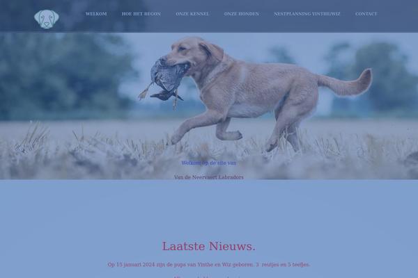 Site using Cumulo-extension plugin