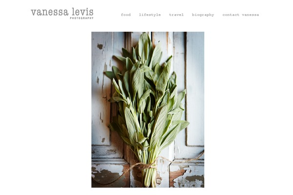 Photocrati theme site design template sample