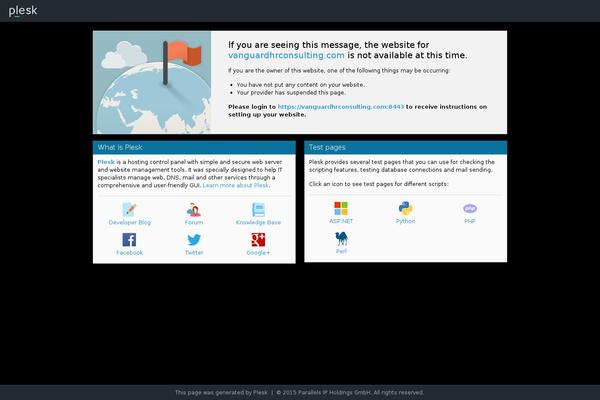 Consultix website example screenshot