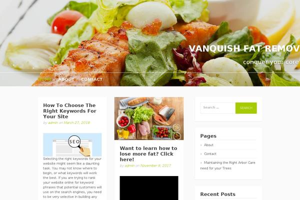 Moesia theme site design template sample