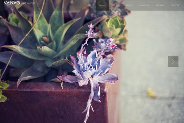 Camilla theme site design template sample