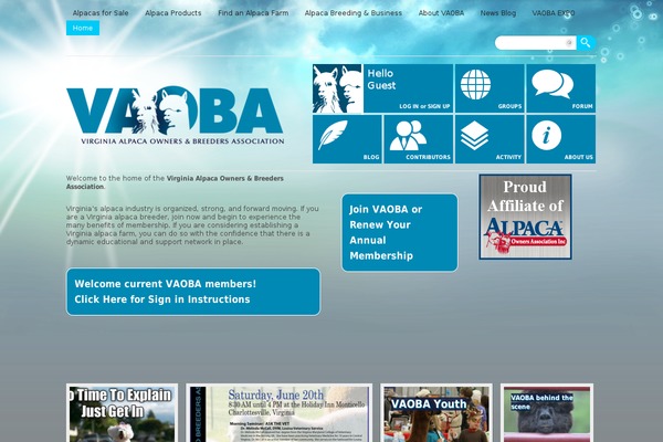 Site using Ajax-search-pro plugin