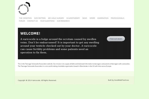 Vimes theme site design template sample