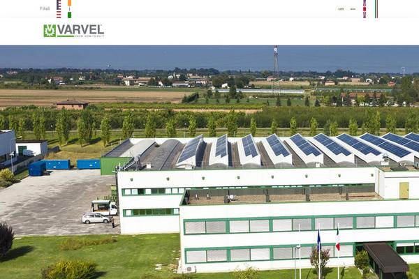 Site using Sg-cachepress plugin