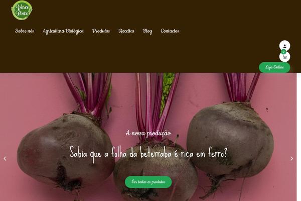 Onum theme site design template sample