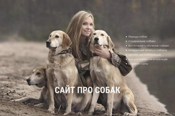 vashasobaka.ru site used Cordillera