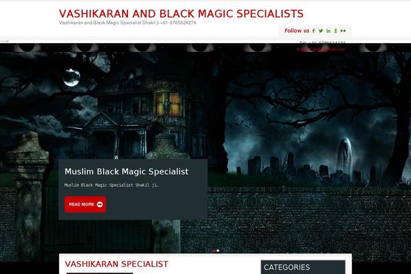 vashikaranspecialists.in site used SKT Bizness