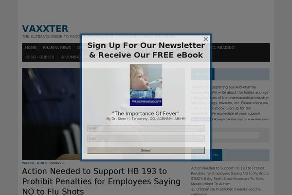 MH Newsdesk lite theme site design template sample