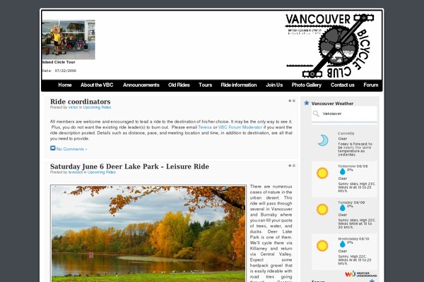 Mandigo theme site design template sample